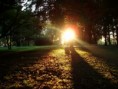 /album/fotogaleria-priroda/nitriansky-park-sihot-5-jpg/